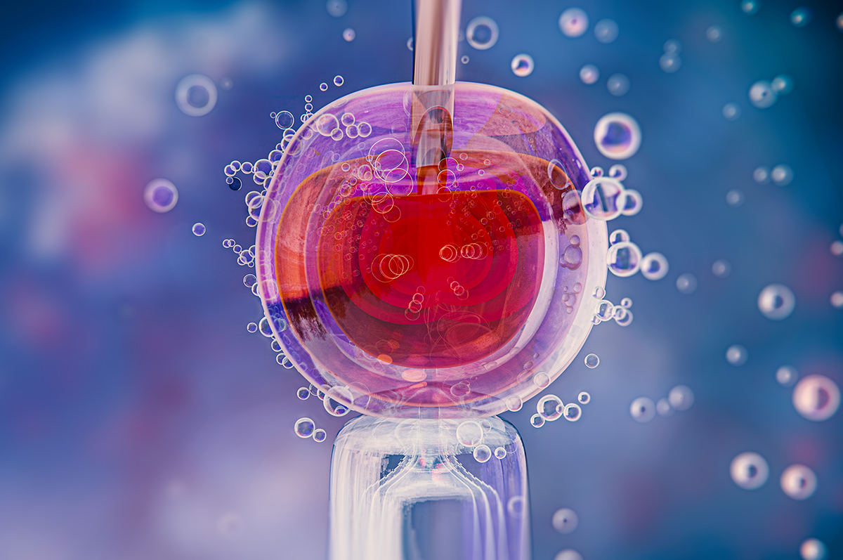 in vitro vivo diagnostics solutions